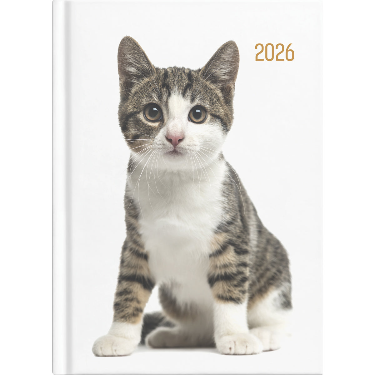 Collins Diary A53 Cats & Dogs Even Year. Sold per 4s