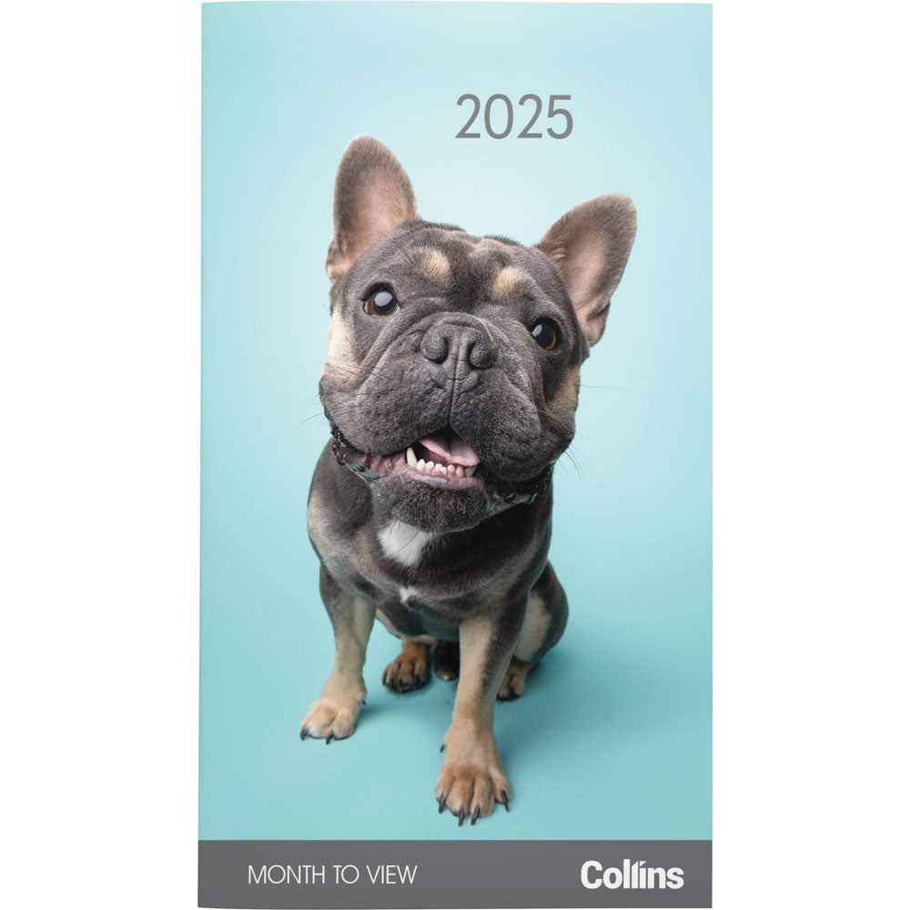 Collins Diary Rosebank Cats & Kittens Month to View 2027. Sold per 4s