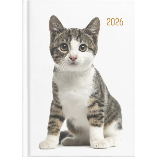 Collins Diary A53 Cats & Dogs Even Year. Sold per 4s