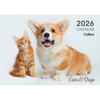 Collins Wall Calendar A4 Cats & Dogs Even Year