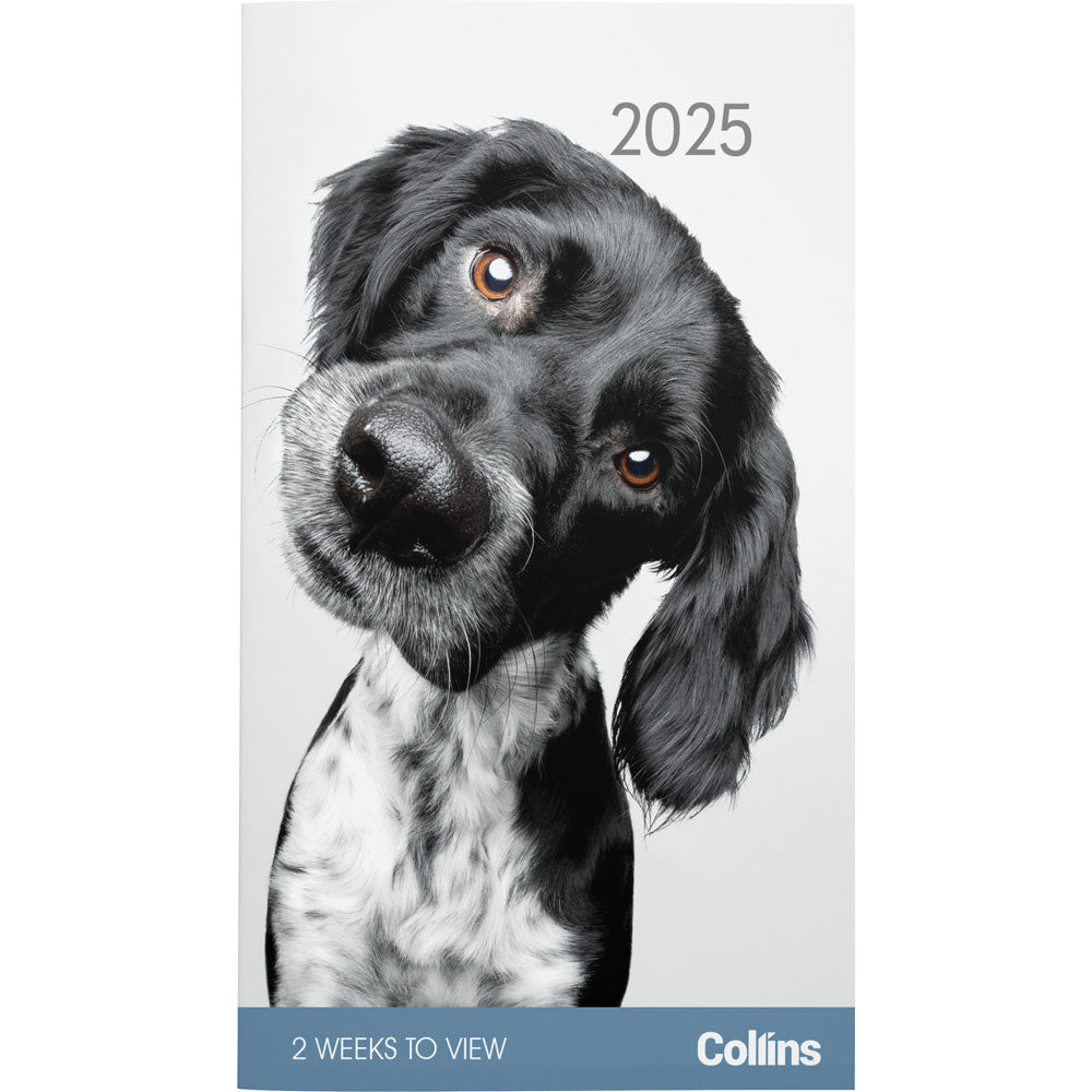 Collins Diary Rosebank Cats & Kittens 2 Weeks to View 2027. Sold per 4s