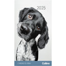 Collins Diary Rosebank Cats & Kittens 2 Weeks to View 2027. Sold per 4s