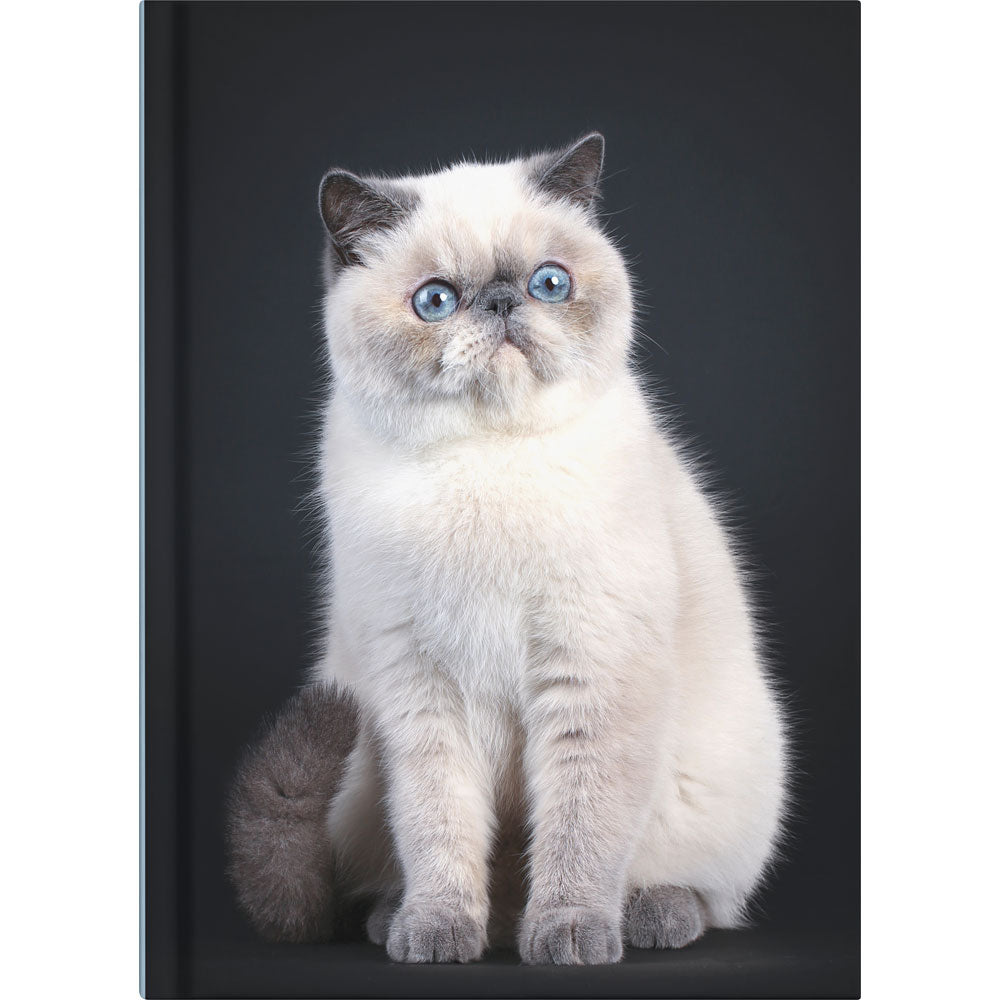 Collins Journal A5 Cats & Dogs. Sold per 4s