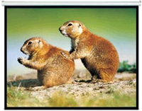 Brateck 150" 4:3 Pull Down Projector Screen Matte