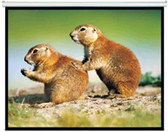 Brateck 150" 4:3 Pull Down Projector Screen Matte