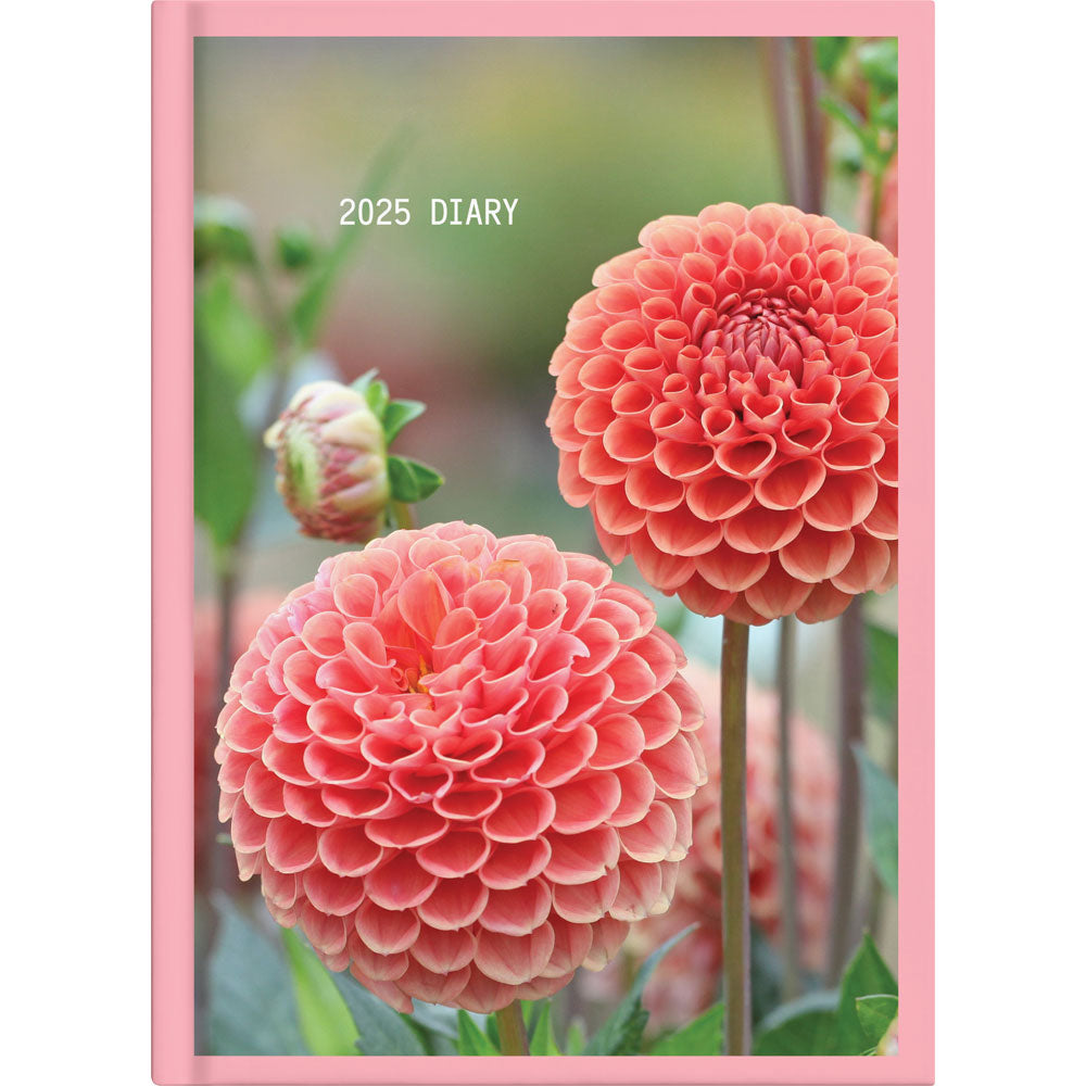 Collins Diary A51 Floral Day to Page 2027. Sold per 4s