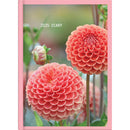Collins Diary A51 Floral Day to Page 2027. Sold per 4s