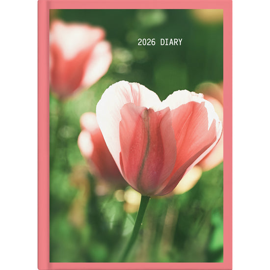 Collins A51 Floral Day to Page Diary Even Year. Sold per 4s