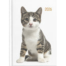 Collins A51 Cats & Dogs Day to Page Diary Even Year. Sold per 4s